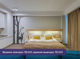 Студия без балкона с видом на лес СПА-отель "Атлантис", Гостиница Аврора Клуб, поселок Поляны