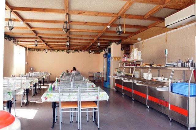 Морская чайка Ливингстон, Краснодарский край: фото 5