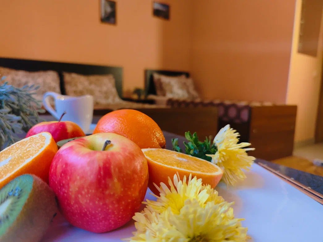 Морская чайка Ливингстон, Краснодарский край: фото 3