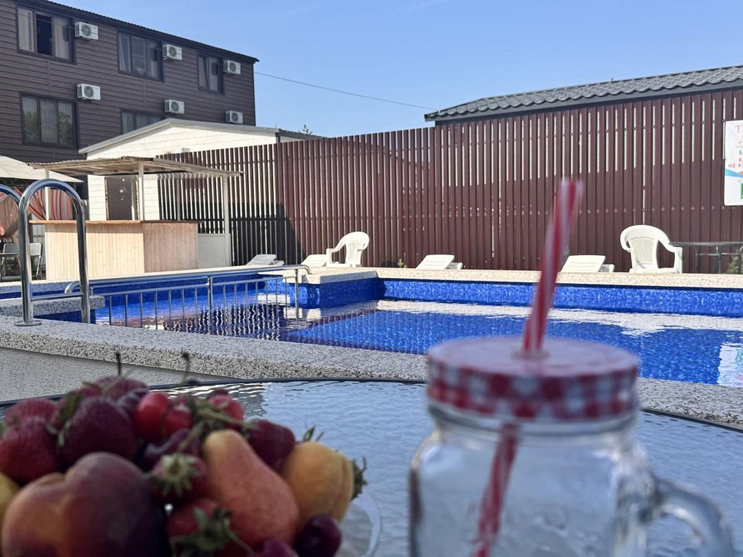 Морская чайка Ливингстон, Краснодарский край: фото 2