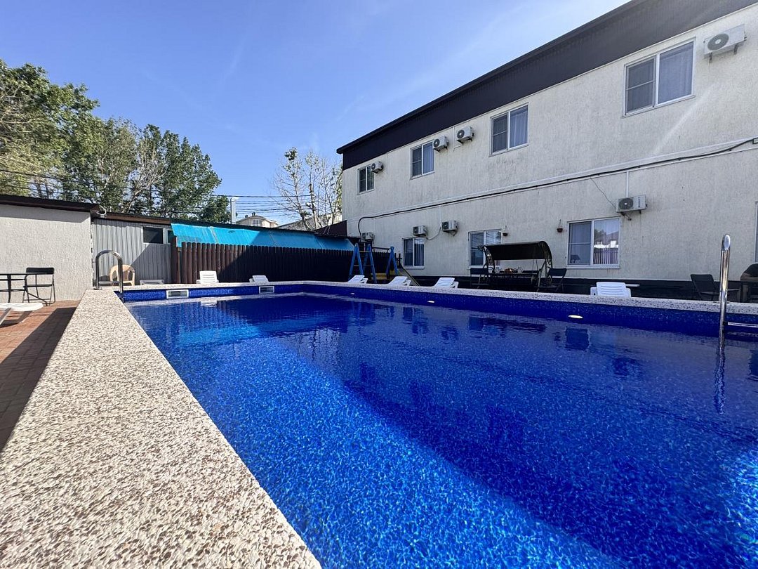 Морская чайка Ливингстон, Краснодарский край: фото 4