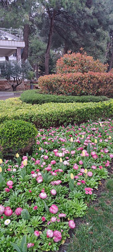 Фото 3 из отзыва о санатории Красная Талка