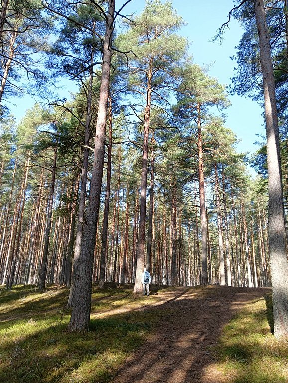 Фото из отзыва от 28.03.2026