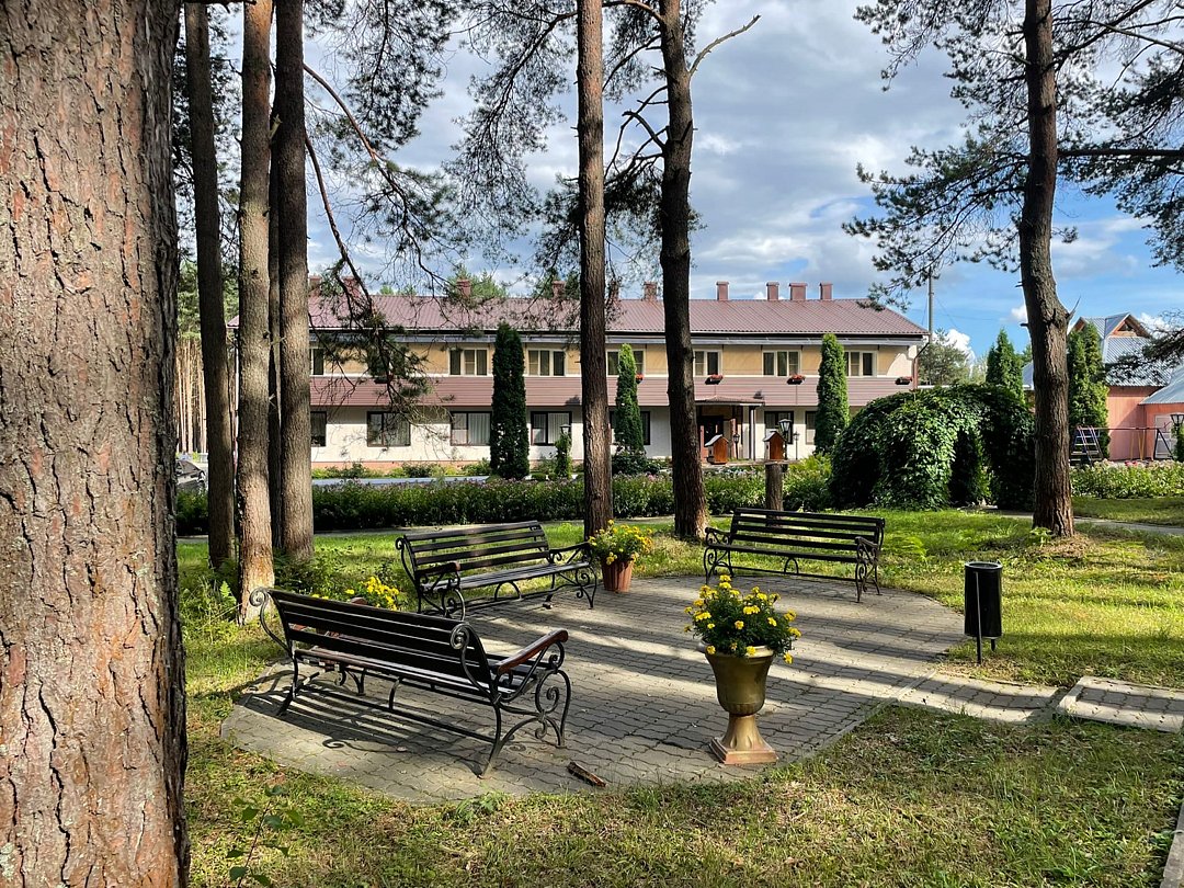 Лесная сказка, Ярославская область: фото 2