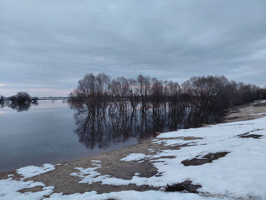 Фото из отзыва от 01.04.2026