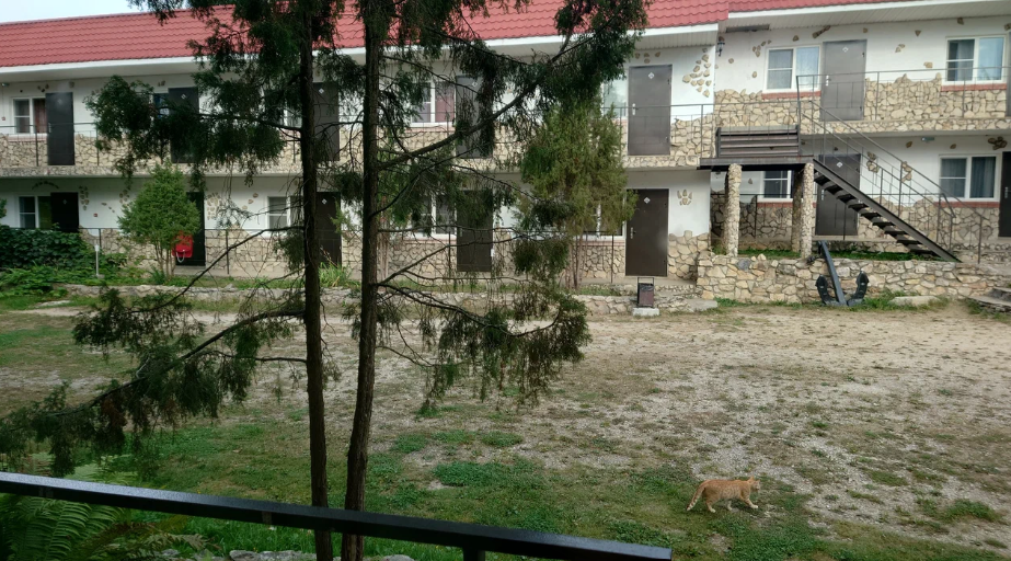 Якорь, Калужская область: фото 5