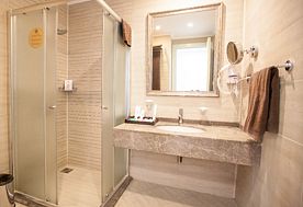 2-мест. Standard, Санаторий Gashalti Health Hotel Naftalan, Нафталан