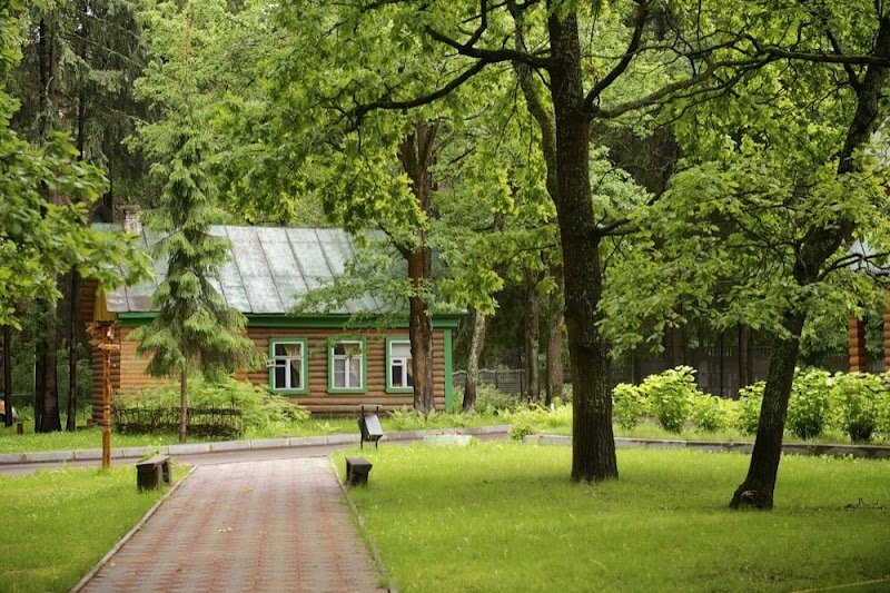 Ателика Фиеста Парк, Московская область: фото 2