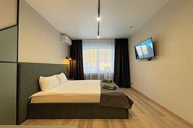 Апартаменты № 102-3, ул. им. В.Т. Христенко, 7, Apart-Hotel BRAUN, Барнаул