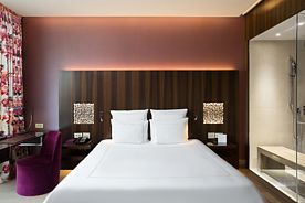 Стандартный с видом на парк - с двуспальной кроватью, Гостиница Swissotel Resort Sochi Kamelia, Сочи