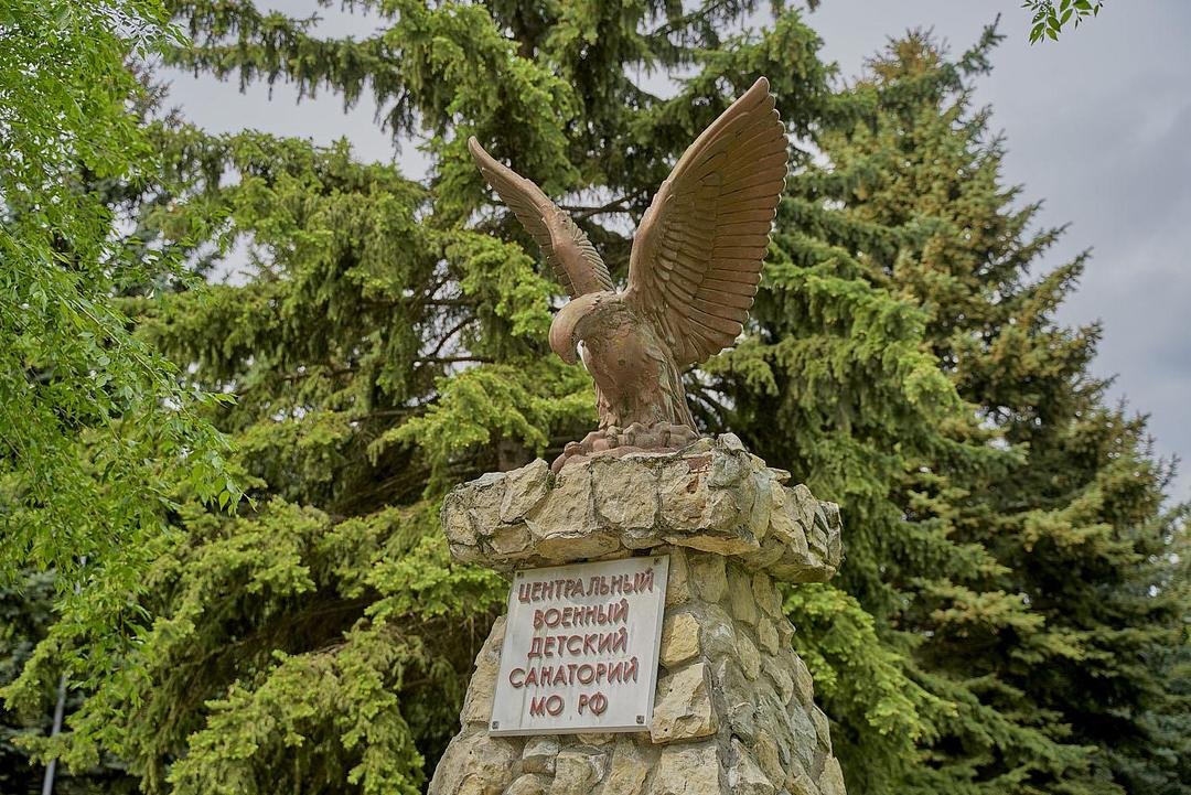 Центральный военный детский санаторий, Ставропольский край: фото 4