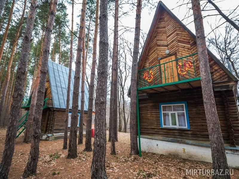 База отдыха Хопёр, Нижнее Голицыно, Саратовская область