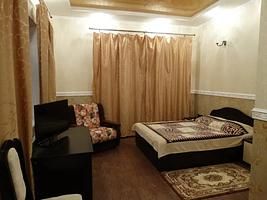 Двухместный номер Первая категория (двуспальная кровать), Отель Арт-Александрия, Новоаннинский