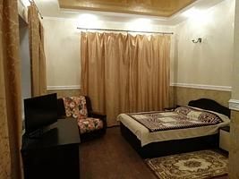 Двухместный номер с креслом-кроватью Первая категория (двуспальная кровать), Отель Арт-Александрия, Новоаннинский