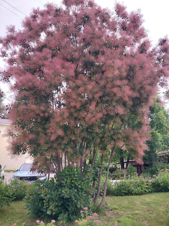 Фото из отзыва от 28.06.2026