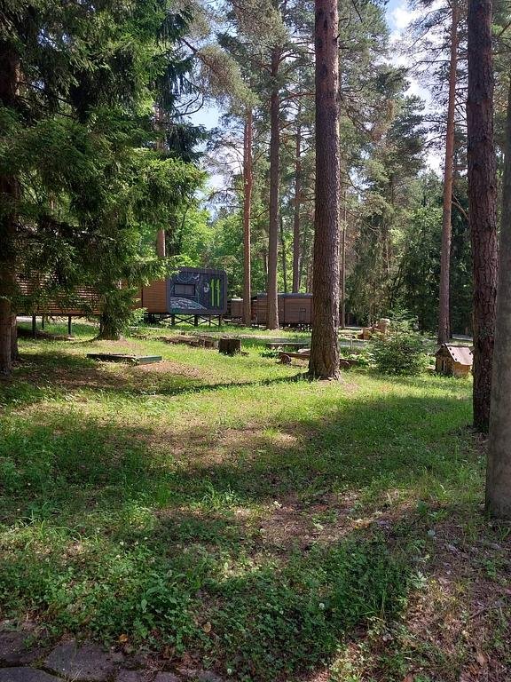 Фото из отзыва от 28.06.2026