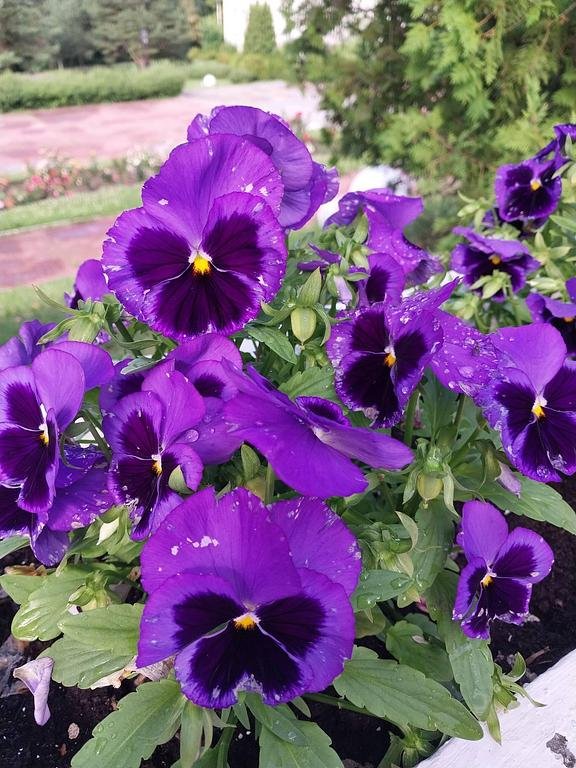 Фото из отзыва от 28.06.2026