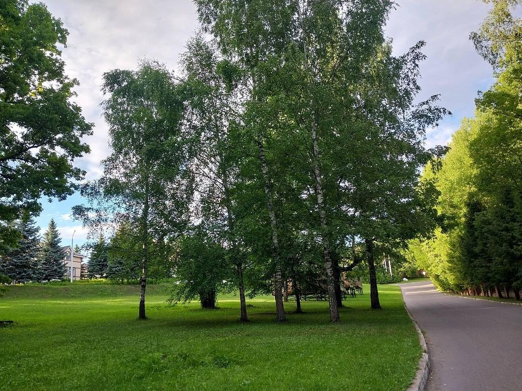 Фото из отзыва от 28.06.2026