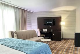 1-мест. (разм. в 2-мест.) Deluxe Suite, Отель Les Art Resort, Рузский район