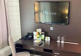 1-мест. (разм. в 2-мест.) станд. NEW, Отель Les Art Resort, Рузский район