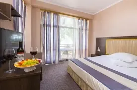 2-x местный стандарт Корпус А с балконом вид на горы с доп местом, Отель NAPRA SPA HOTEL, Цандрипш