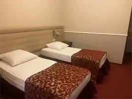 2-x местный комфорт с раздельными кроватями, Отель Александр, Батайск