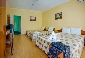 1-мест. (разм. в 2-мест.) комфорт 2+2, Гостиница Ай-Лия, Алушта