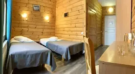 2-x местный - TWIN-N, СПА-отель Дворцы, поселок Марциальные воды