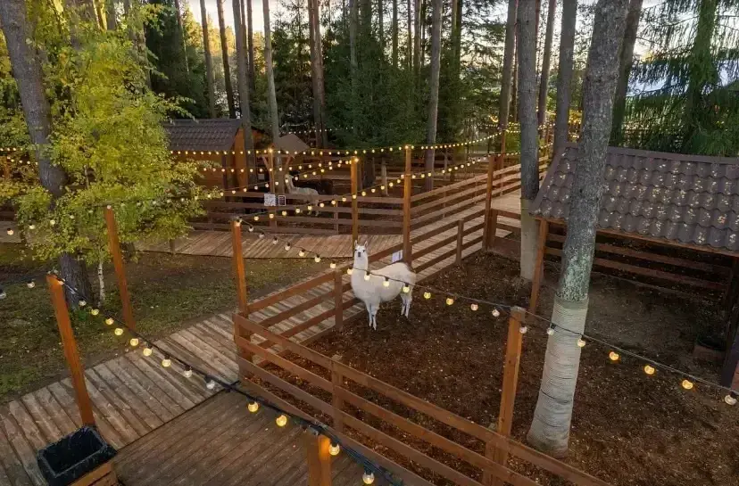 Коттеджный Комплекс Охта Парк Resort&SPA, Ленинградская область: фото 5