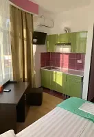 1-мест. делюкс без балк. (вид на сад и горы), Отель Диса, Якорная щель