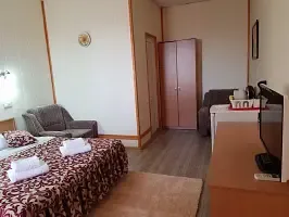 2-x местный полулюкс с общим балконом корпус 2 (на бассейны) 2 этаж, Курортный отель Астон, Анапа