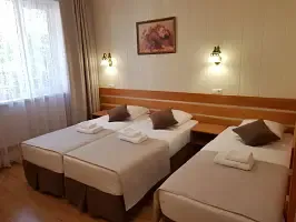 3-x местный полулюкс с общим балконом корпус 2 (во двор) 3 этаж, Курортный отель Астон, Анапа
