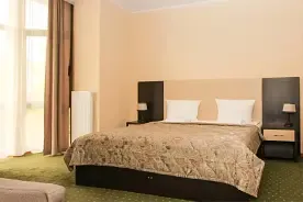 Двухместный номер Standard, Отель Walde Park, поселок Лесной
