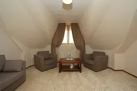 Трёхместный номер Standard, Отель Walde Park, поселок Лесной