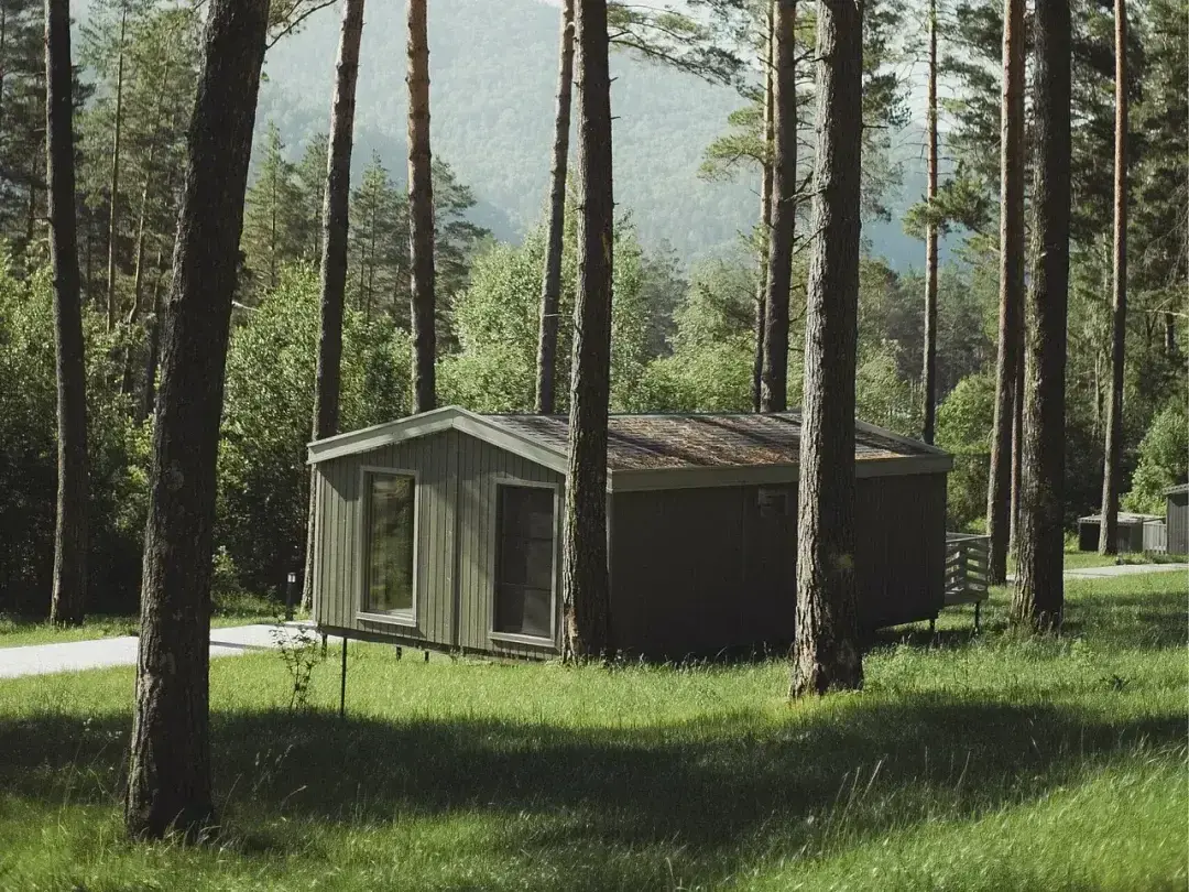 Елань, Алтайский край: фото 4