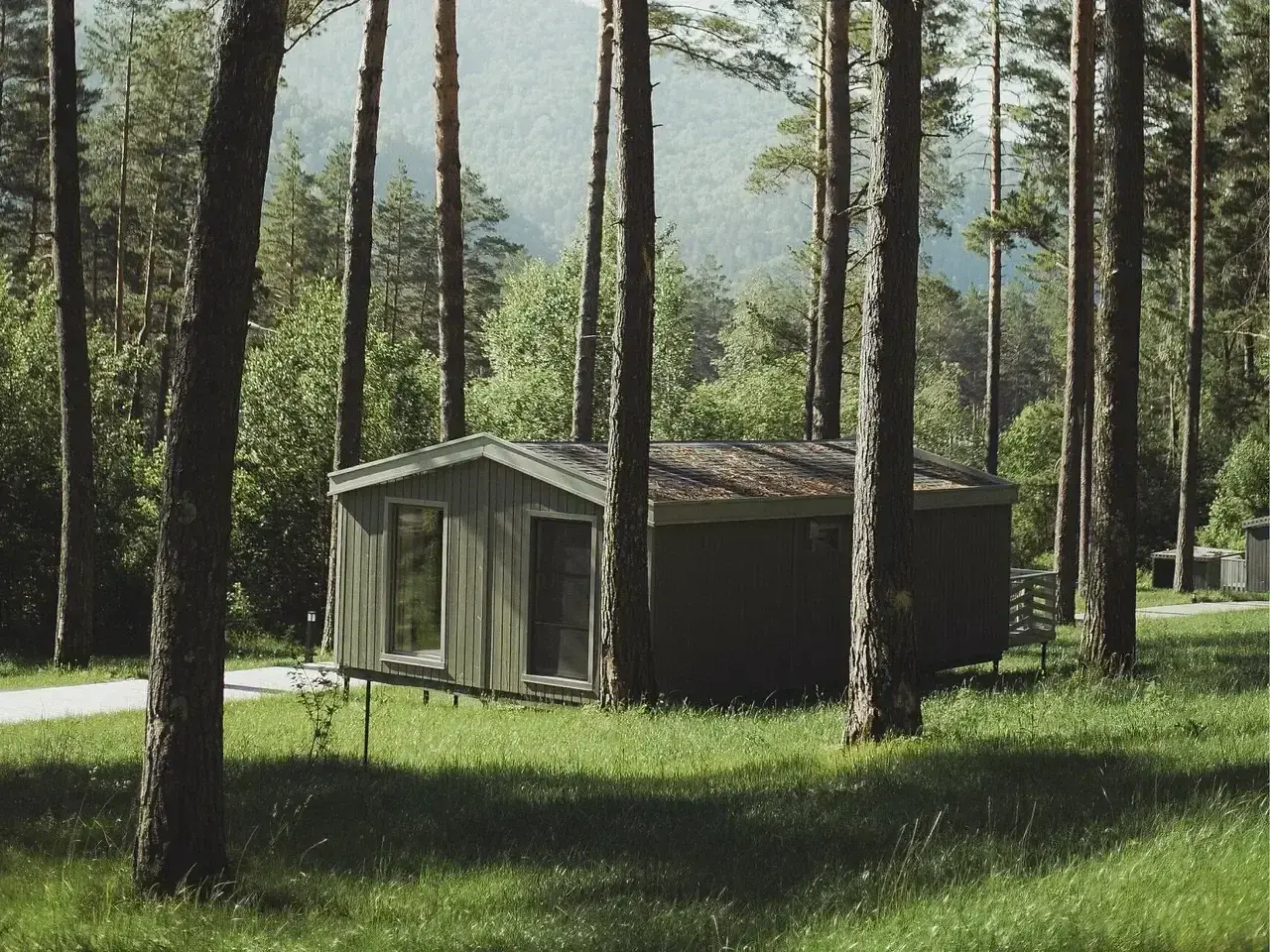 Елань, Алтайский край: фото 4