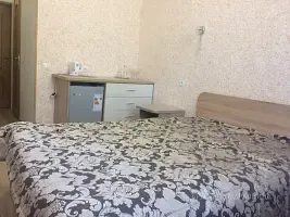 1-мест. (разм. в 2-мест.) DBL, корп. 1, Санаторий Берестье, Брестский район