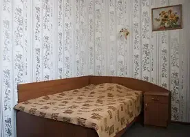 Одноместный номер Standard, Отель Спутник, Обуховка
