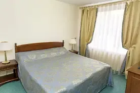 Двухместный номер Comfort + (двуспальная кровать), Отель Лебедь, Губкин