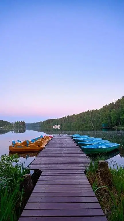 Загородный курорт Аврора клуб, Ленинградская область: фото 5