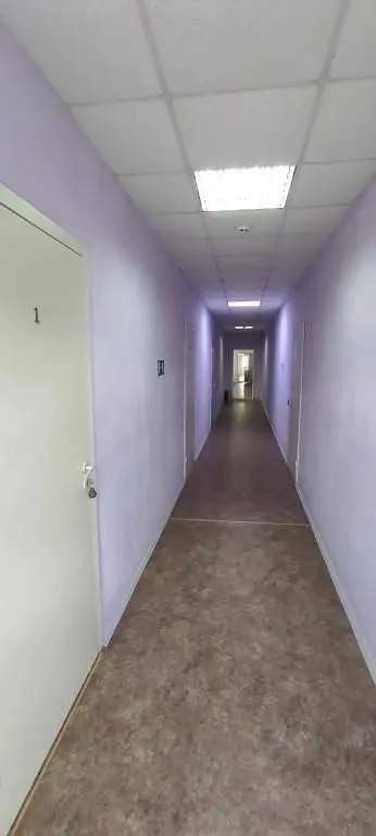 Otel Rus, Челябинская область: фото 3