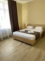 Двухместный номер Standard (двуспальная кровать), Отель Грин, Лобня