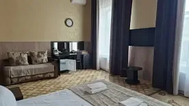 Двухместный номер Стандарт с балконом (двуспальная кровать), Гостиница Елизавета, Ленинградская