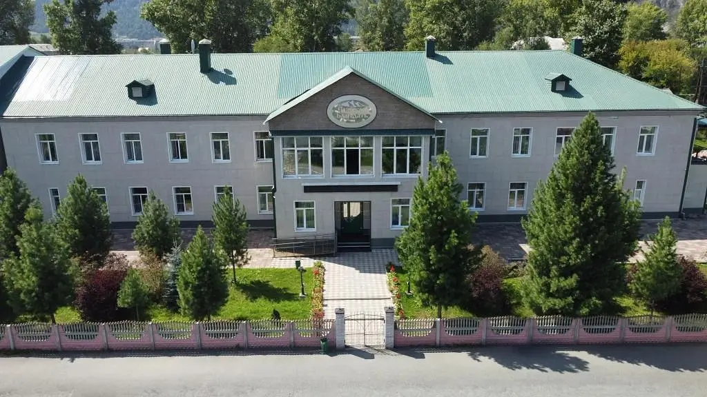 Апарт-отель Санаторий Саянская Благодать, Абаза, Республика Хакасия