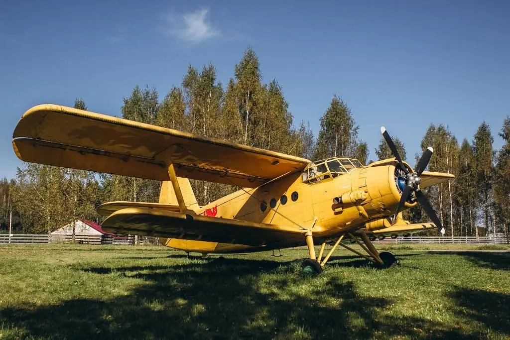 Джао Да!Ча, Ярославская область: фото 3