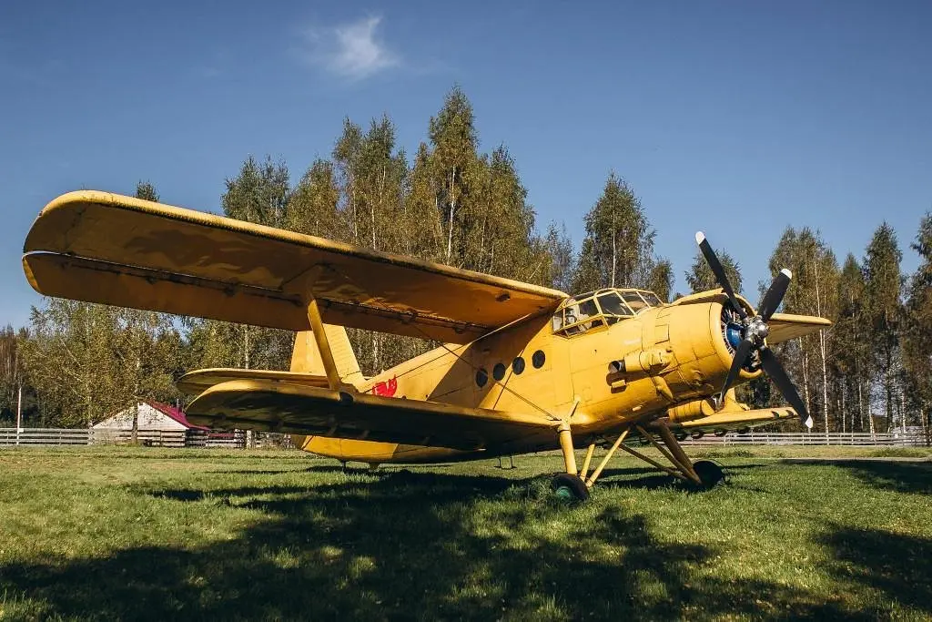 Джао Да!Ча, Ярославская область: фото 3