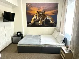 Номер Superior, Отель Борисон, Владивосток