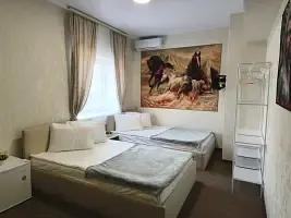 Номер Comfort c 1 комнатой с видом на внутренний двор, Отель Борисон, Владивосток