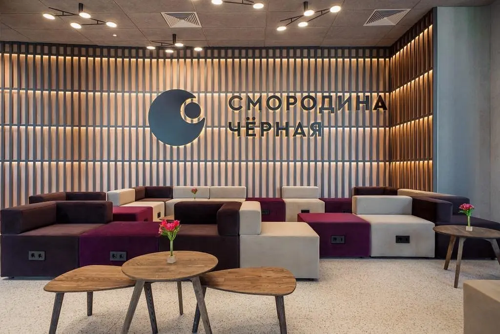 Отель Чёрная Смородина Сколково, Московская область: фото 3