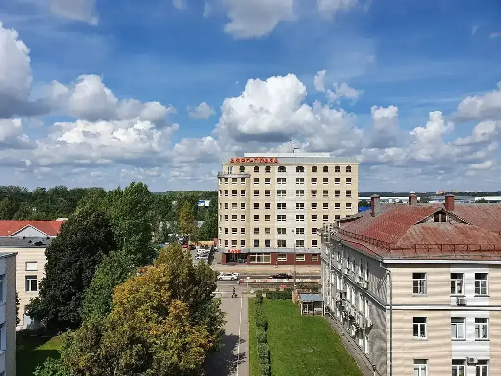 Отель Аэро Плаза, Московская область: фото 2